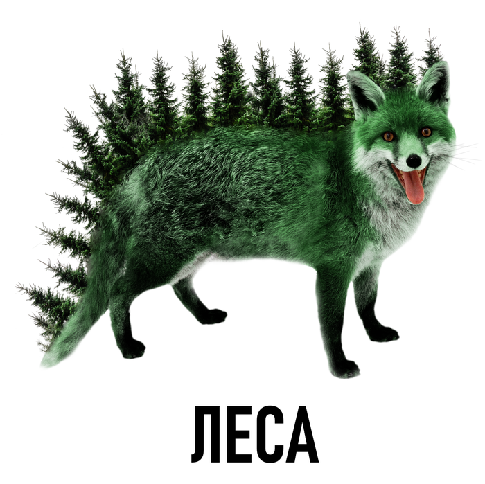 Леса