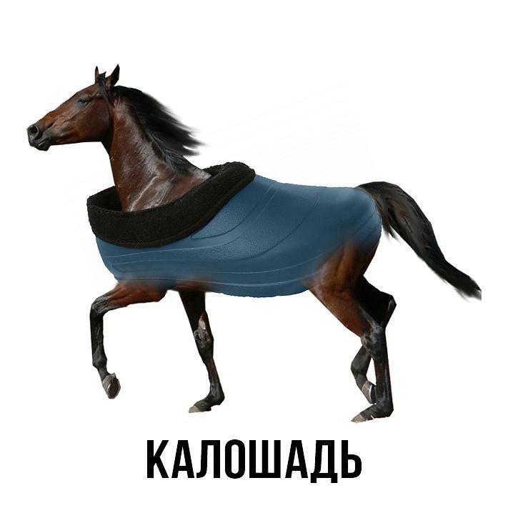 Калошадь
