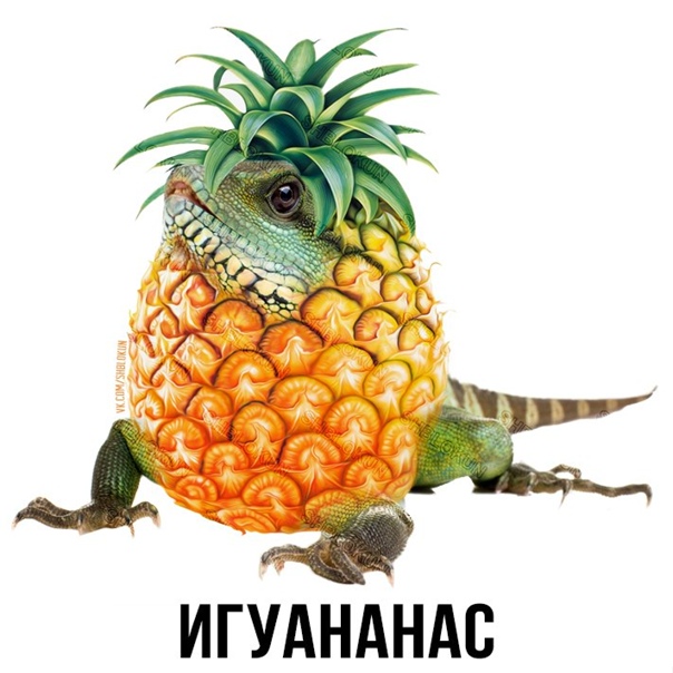 Игуананас